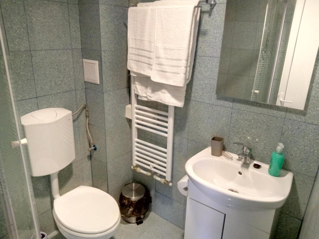 Camere De Inchiriat Carpati Hunedoara Exteriör bild